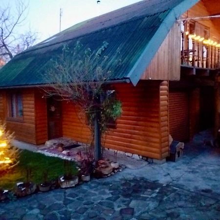 Friendly House Apartment Kolomyia Bagian luar foto