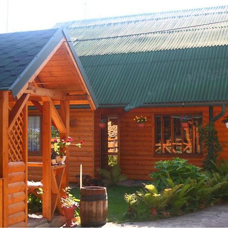 Friendly House Apartment Kolomyia Bagian luar foto
